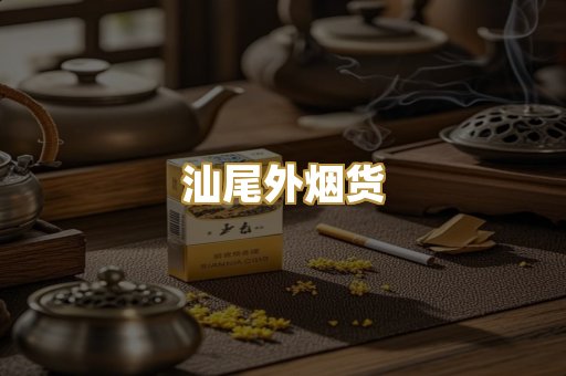 汕尾外烟货